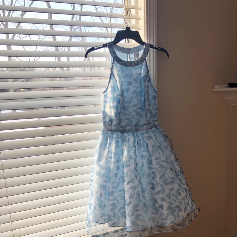 Disney Cinderella Lauren Conrad Brand dress